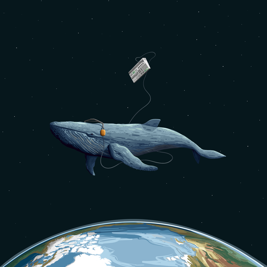 Joca - Nichts als Liebe (CD)